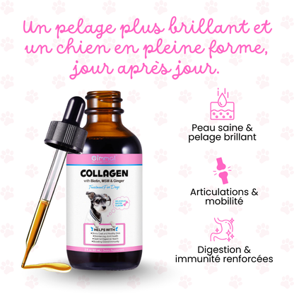 Collagen+