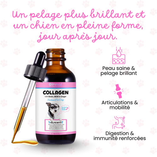 Collagen+