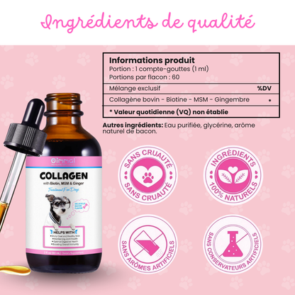 Collagen+